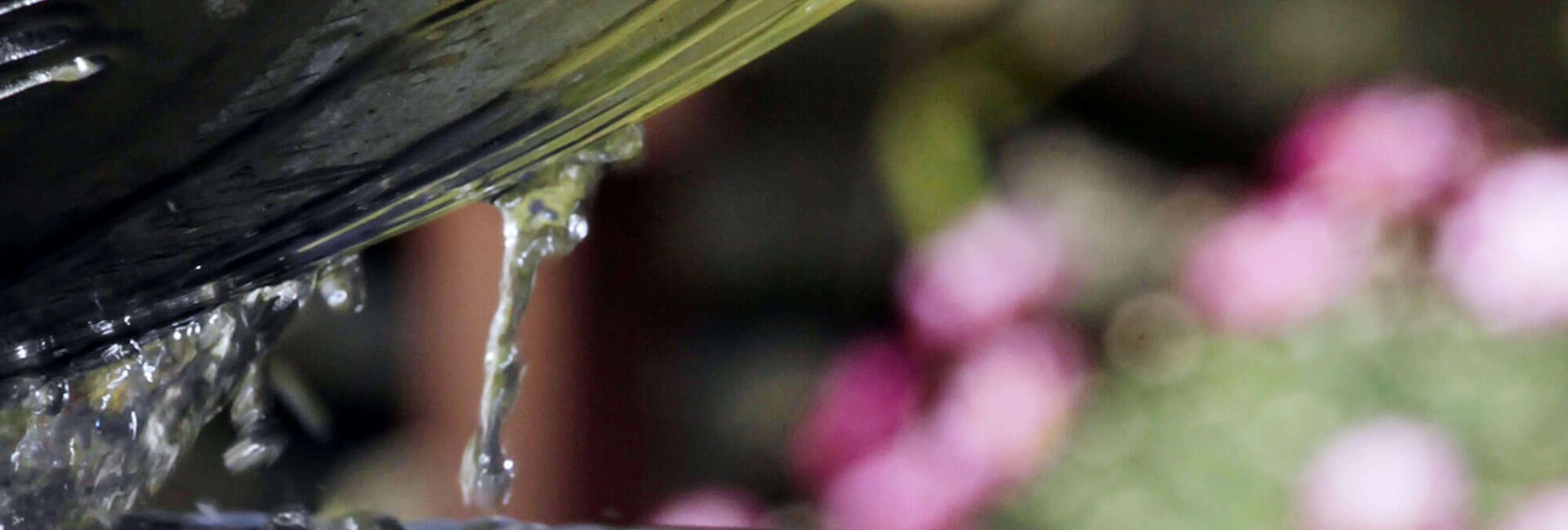 Foto: Wasserspiel im Garten